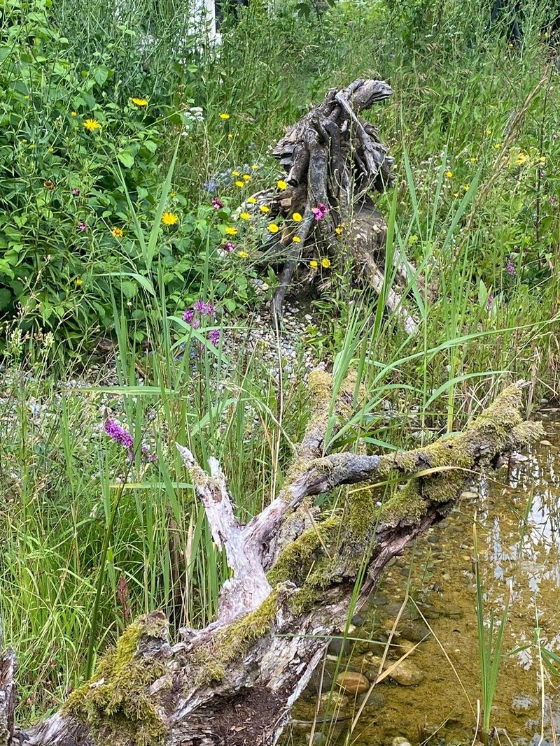 Familie Murer: Naturgarten