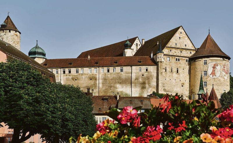 Bildlegende, Bäume und Natur