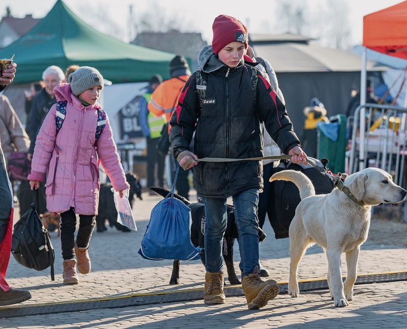 Die Ukraine gilt als Risikoland für Tollwut. In die Schweiz mitgebrachte Tiere werden daher sofort nachgeimpft.