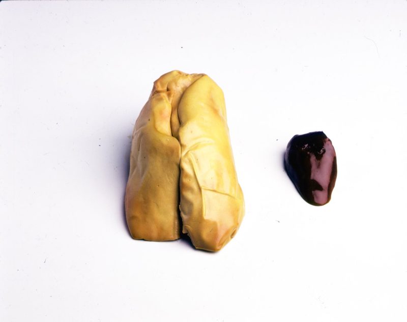 Liver Comparison 2010