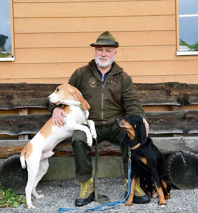 Schweizer Laufhunde – die einheimischen Jagdgefährten