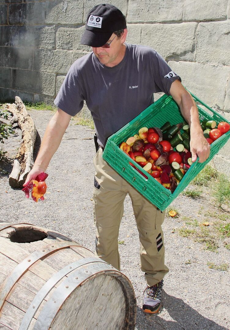 Roland Meier versteckt die Früchte für die Bären.