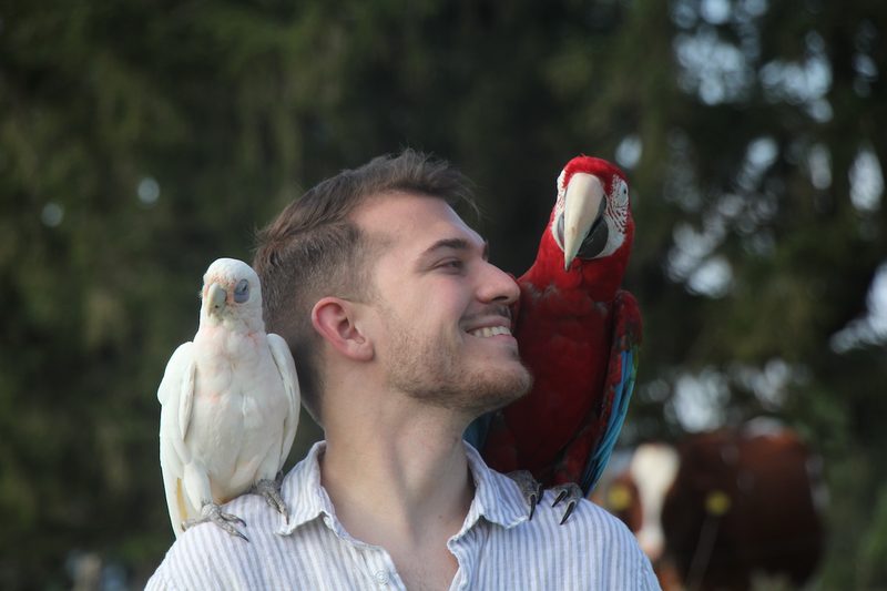 Faszination Vogelhaltung