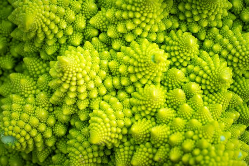 Mutter Natur hat Spass an Fraktalen