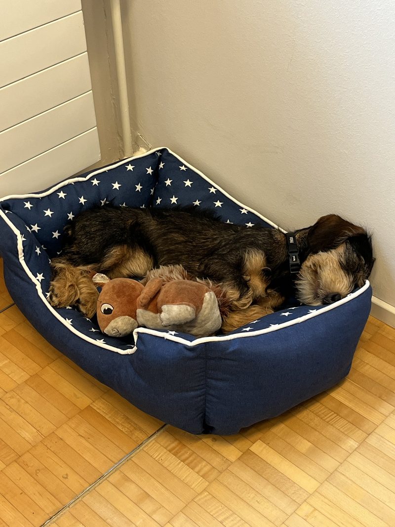 Der erste Tag im Büro
