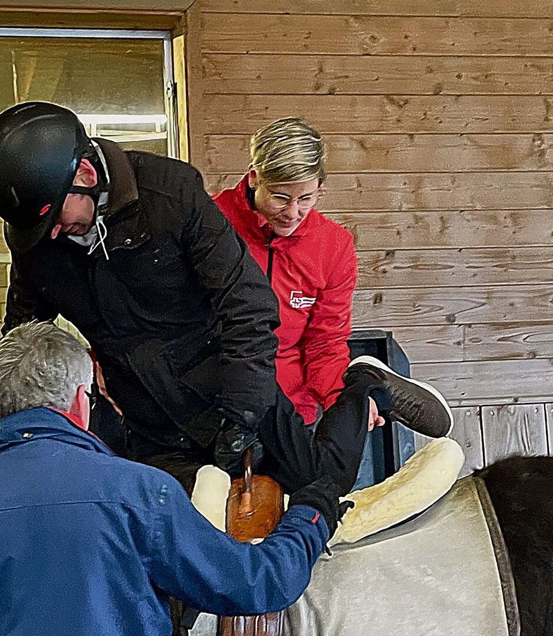 Ein Pferd als Co-Therapeut