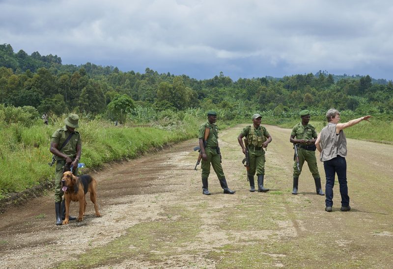 Wie eine Aargauerin im Kongo mit Bluthunden gegen Wilderei kämpft