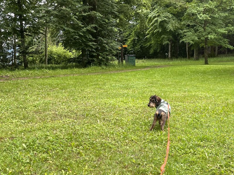 Frieda auf dem Betriebsausflug