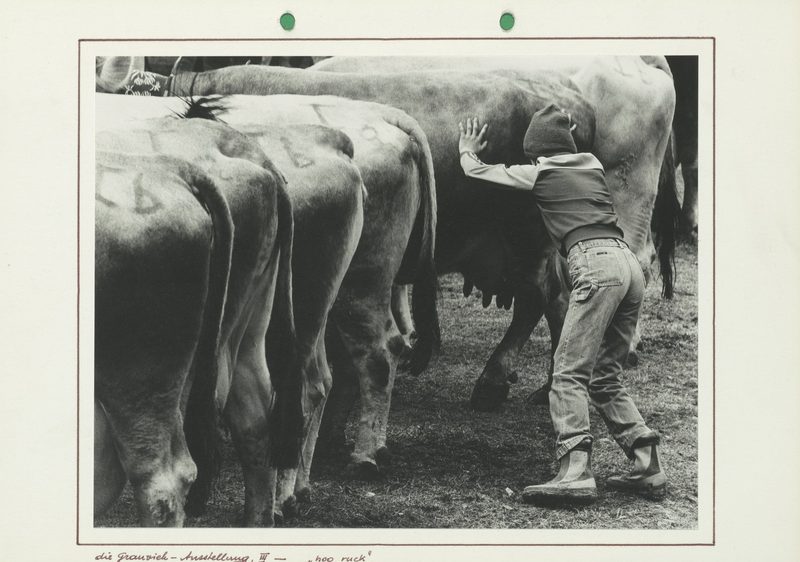 Ausstellungstipps: Alpleben, Tierinstinkte und Gletscher als Kunst