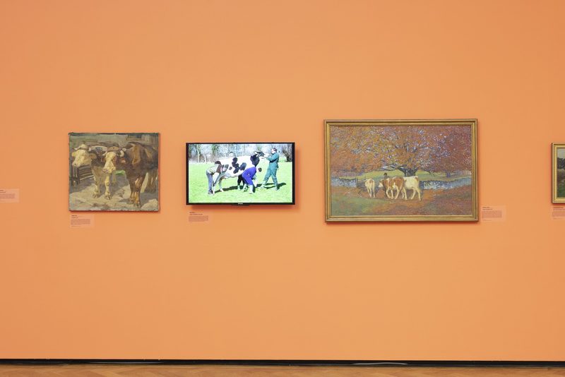 Ausstellungstipps: Alpleben, Tierinstinkte und Gletscher als Kunst