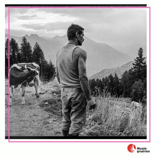 Ausstellungstipps: Alpleben, Tierinstinkte und Gletscher als Kunst