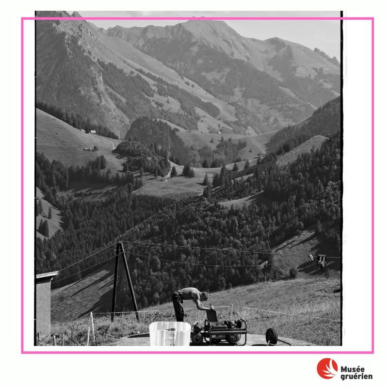 Ausstellungstipps: Alpleben, Tierinstinkte und Gletscher als Kunst
