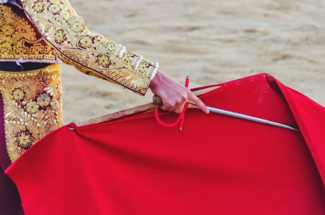 2-torero-shutterstock_Alfonso_de_Tomas.jpg