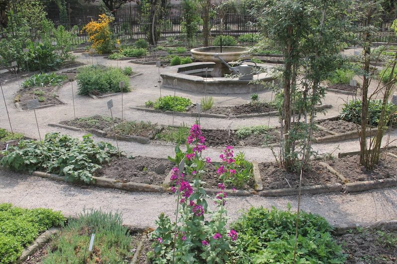 Eine Weltreise zu botanischen Gärten