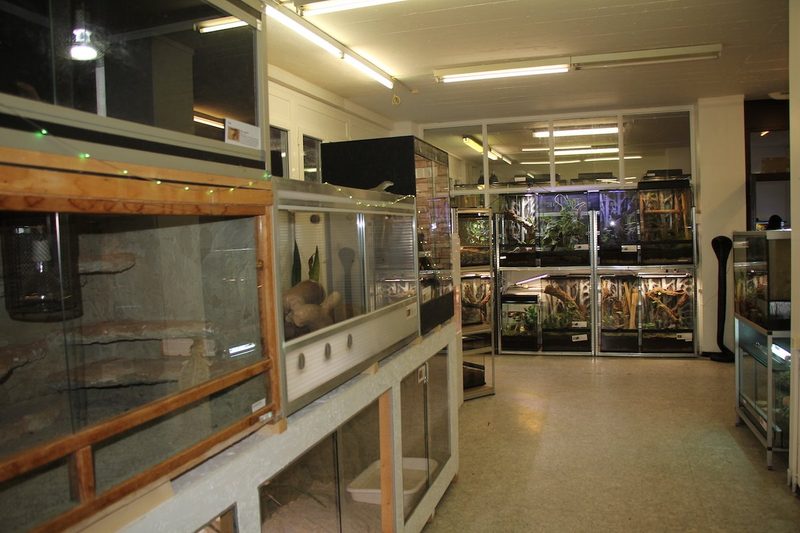 Die Reptilien-Auffangstation in Le Locle