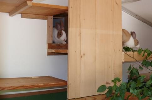 stall2.jpg