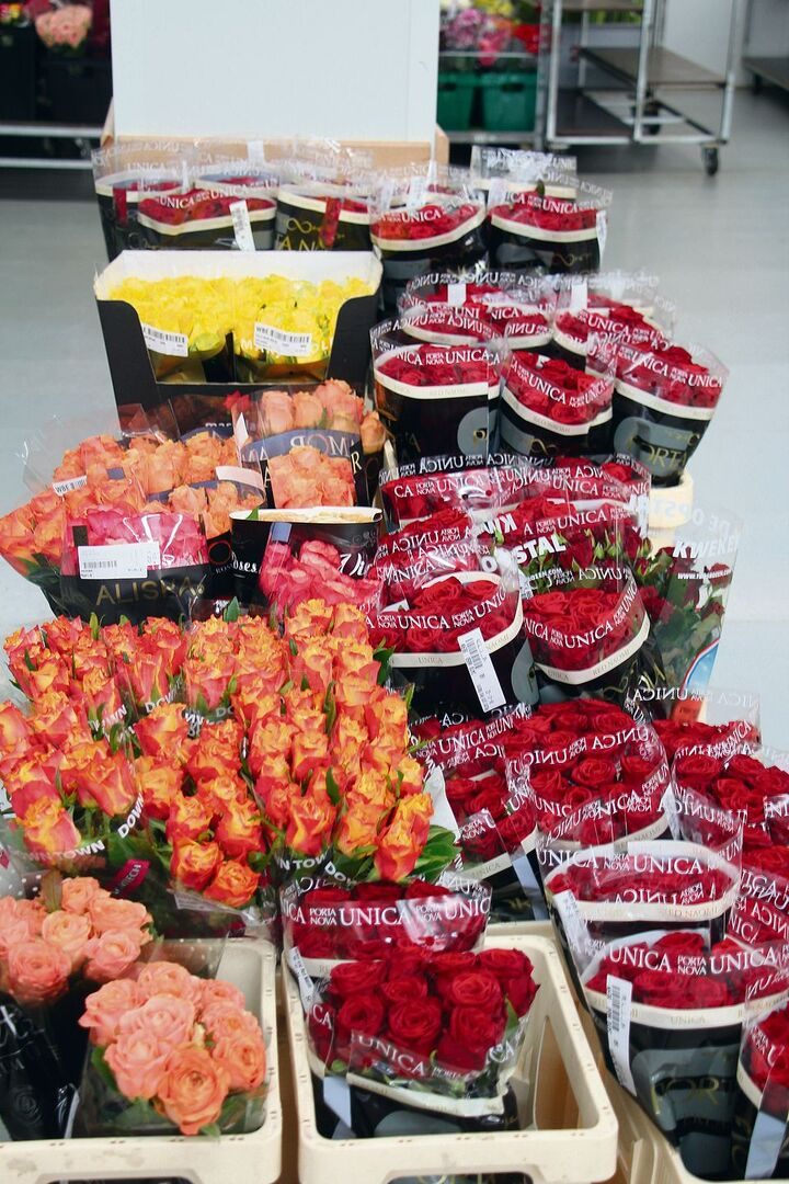 Blumenbörse 3