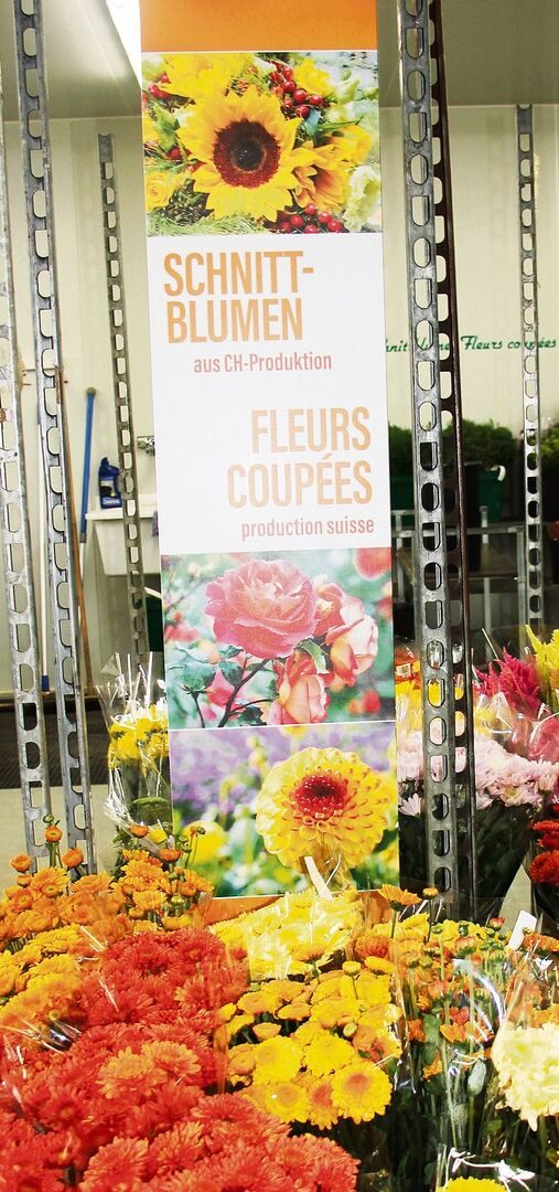 Blumenbörse 1