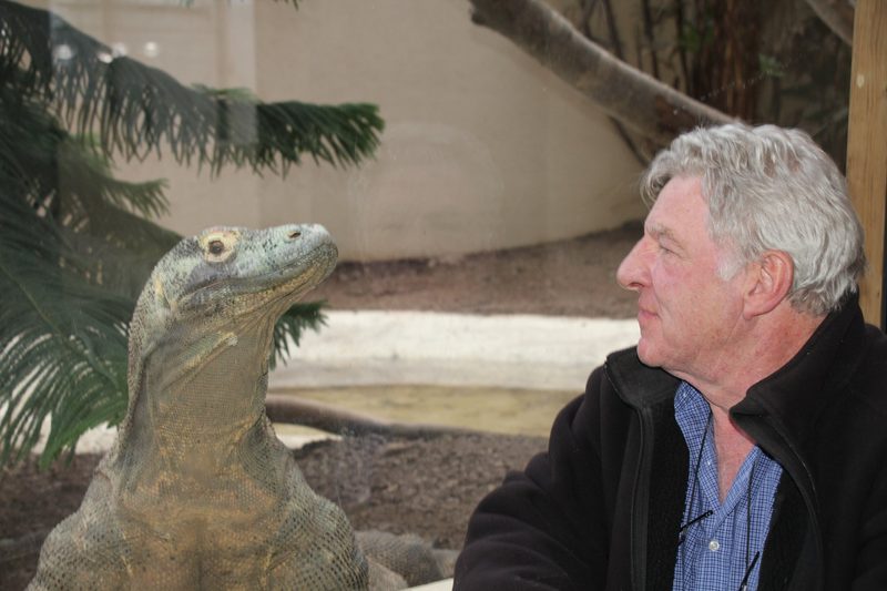 Komodowarane und andere Reptilien und Amphibien im Tropiquarium in Servion