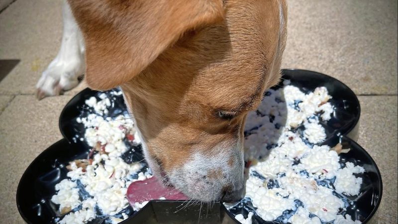 Futter mal anders