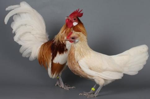 nachwuchsplanung2.jpg