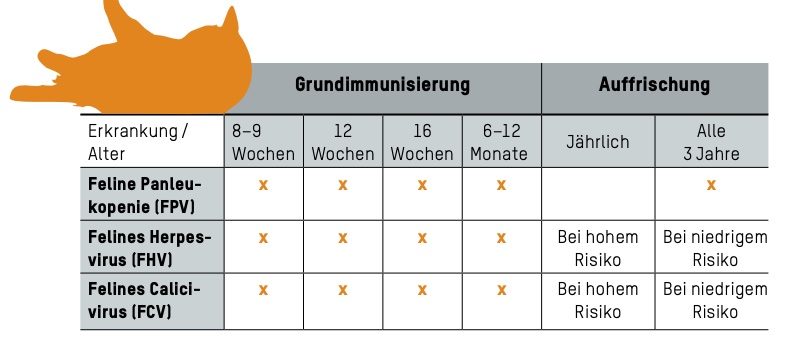 Impfen: Ein Pieks für die Gesundheit von Hund und Katze