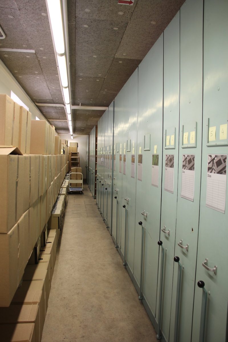 Das Herbarium des Botanischen Gartens der Universität Bern ist eine Fundgrube und nun online