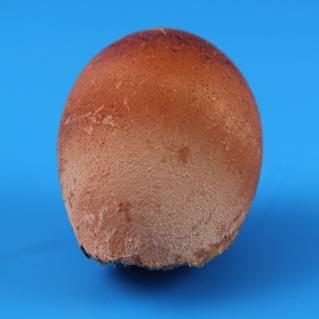 Eier3_s.jpg