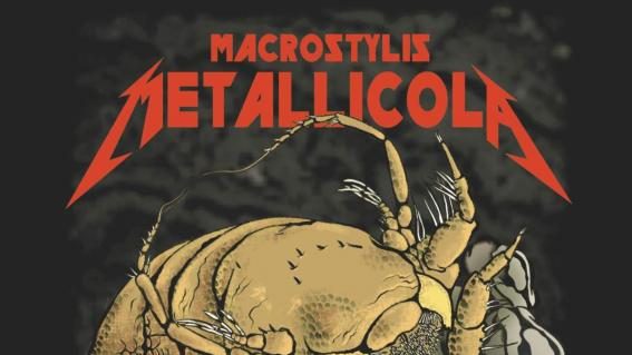 Tiefseekrebs Metallicola