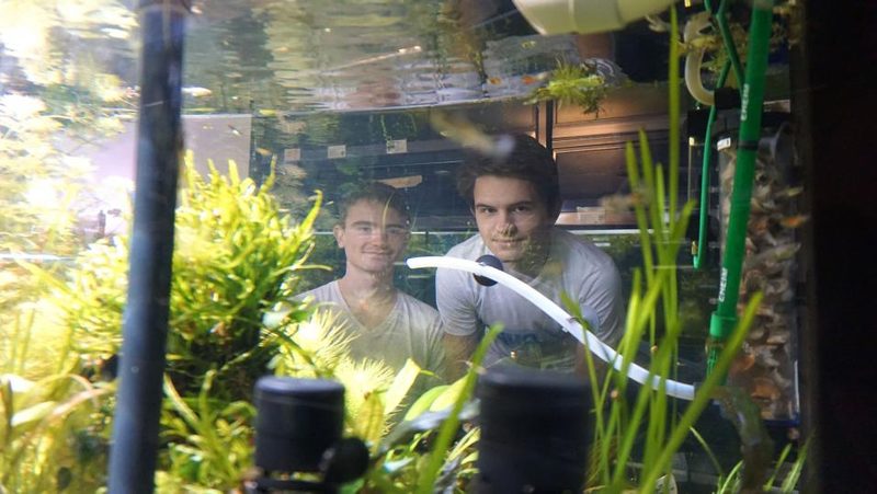 Elias und Andrin Müller schauen durchs Aquarium