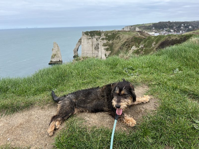 Roadtrip in die Normandie