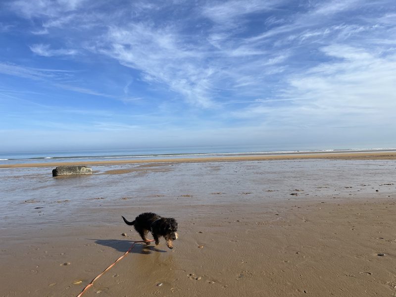 Roadtrip in die Normandie