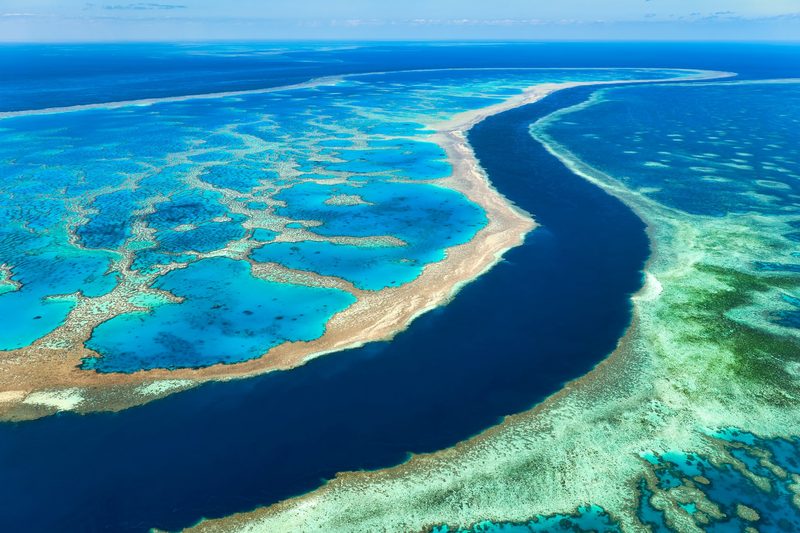 Great Barrier Reef stark gefährdet