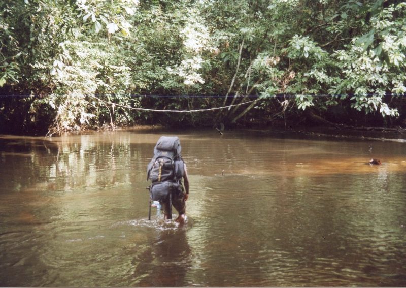 Grüntaube: Wunder im Ituri-Wald im Kongo