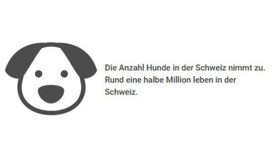 Grafik Hunde