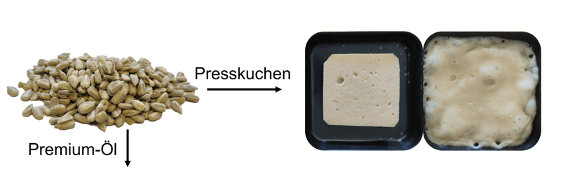 Veganes Raclette aus Schweizer Nebenprodukten