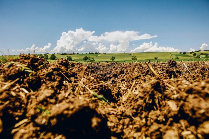 Wie nach Demeter-Richtlinien produziert wird