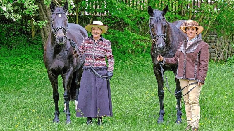 Freunde der Trakehner