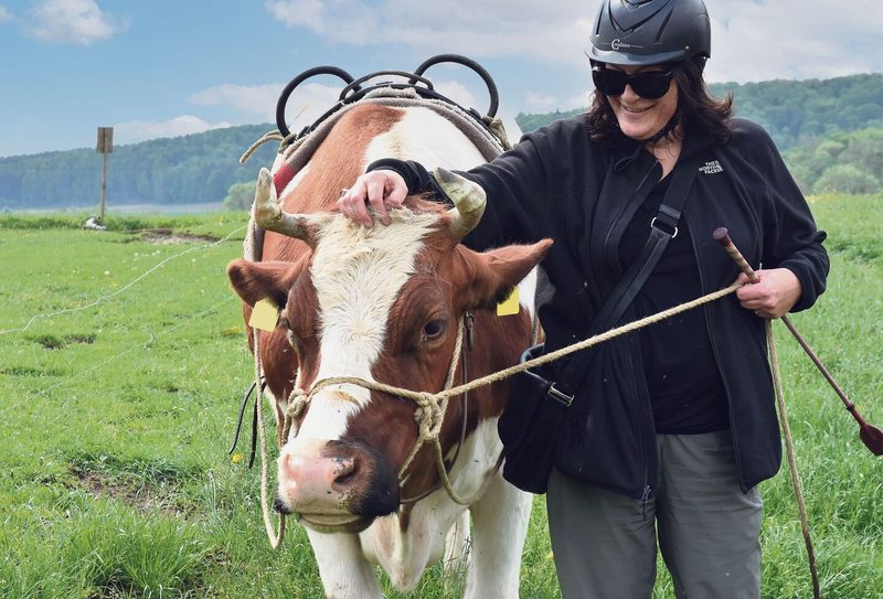 Zwischen den Hörnern zu kraulen gehört zum Kennenlernritual.