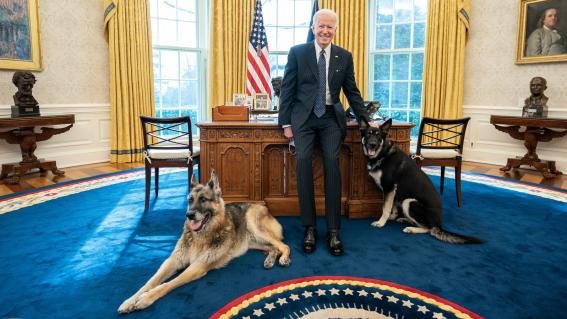 Joe Biden mit Champ und Major