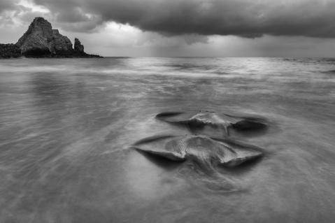 Gewinnerbild WildArt Photographer of the Year