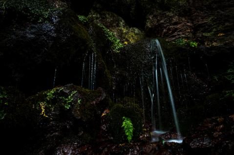 Gewinnerbild WildArt Photographer of the Year