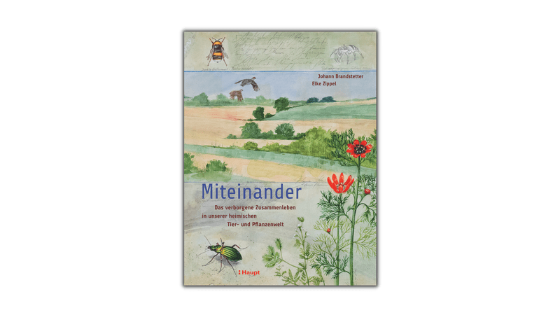 Vier Buchtipps für Naturfreunde
