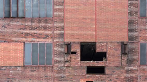 Uhu hat seine Heimat in Industriekomplex