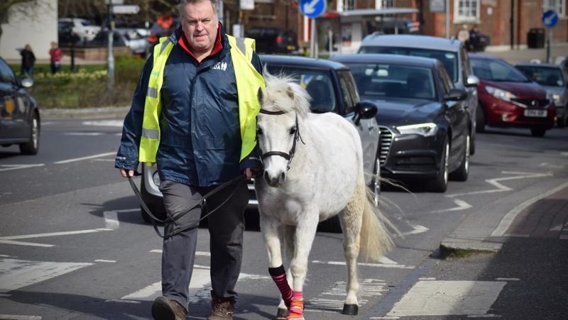 Pony Annie's Whizz in London