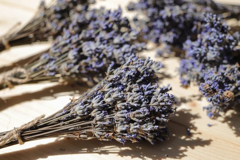 Trockenblumen: Diese Pflanzen eigenen sich besonders gut zum Trocknen