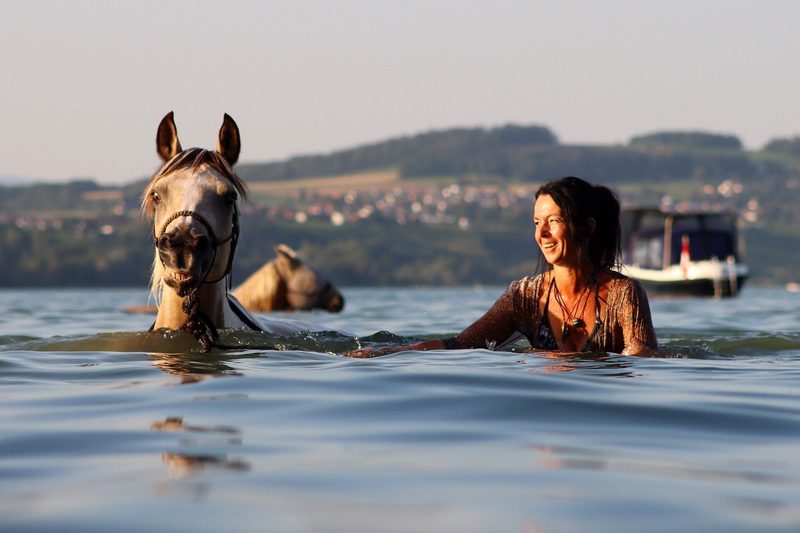 Das sind die 3 besten «Tierischer Badespass»-Fotos