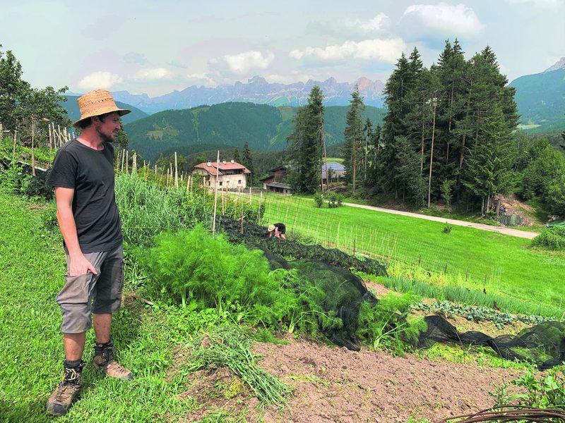 Nachhaltige Pilze statt Äpfel