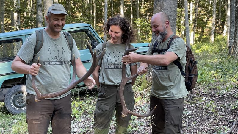 Das «LIFE Lynx» Projekt rettet den Luchs der dinarischen Alpen vor dem Aussterben