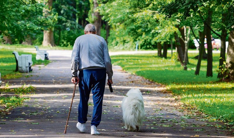 Tiere können Seniorinnen sehr viel geben, vorausgesetzt, es wird gut für das Wohl der Vierbeiner gesorgt. Dabei können auch externe Personen helfen.